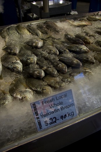 The Final Destination - The journeys end…. Much of the produce is sold locally, at the foot of the sea, through local fish markets. On site, local fisherman can reap the rewards of their labour, their catch on display and highly sought after.