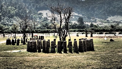 Stone fence at elephant sanctuary, to protect the trees