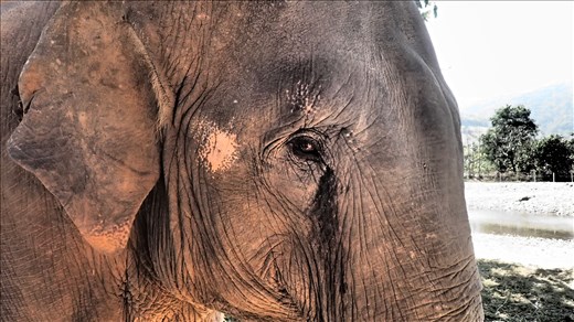 Those eyes get me every time