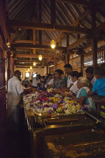 Devotees offer flowers inside the Temple. Flowers are offered for their beauty but the withering of flowers is a reminder that nothing is permanent as per the teachings of the Buddha.