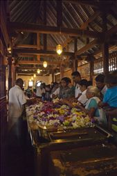 Devotees offer flowers inside the Temple. Flowers are offered for their beauty but the withering of flowers is a reminder that nothing is permanent as per the teachings of the Buddha.: by leeherath, Views[482]