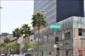 Rodeo Drive Los Angeles: by lefty, Views[284]