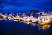 From about 1-3am in Reykjavik, the sky turns a beautiful shade of blue.: by leholt, Views[385]
