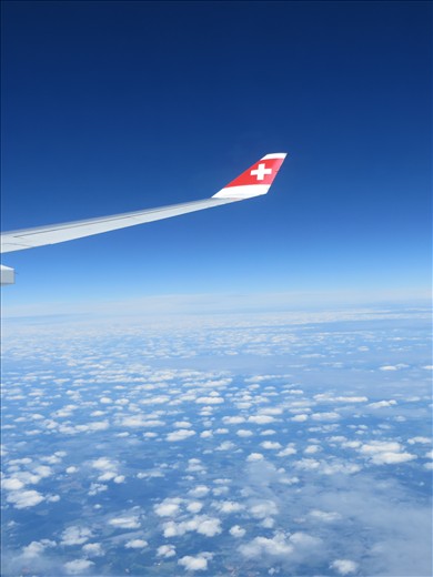 my dream is to fly...