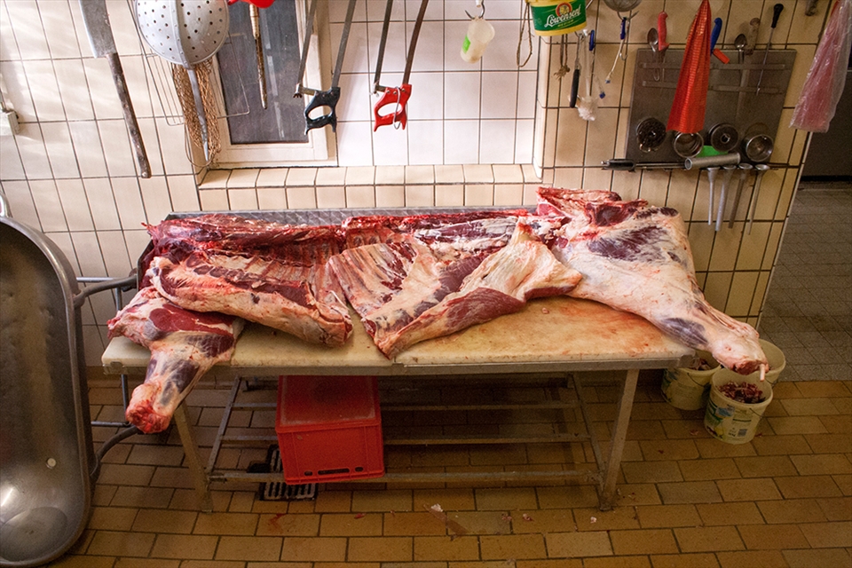 Times have changed. Germany has changed. Meat production has changed. While his grandfather slaughtered the animals himself at home in the butchery, Schüll III., like all butchers, is no longer allowed by German law to slaughter the animals himself. He buys the cattle from the farmer, gets their ear-chip in front of the slaughterhouse, and does not even have permission to attend „the process“ inside. Here you see what he picks up at the other end.