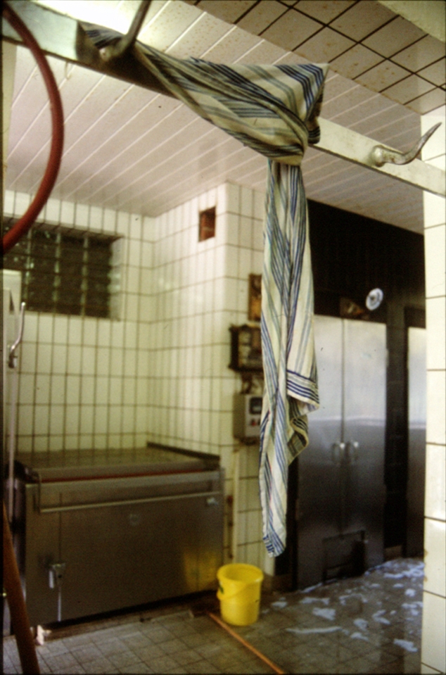 Cleanliness, of course, was and is a very important factor in the butcher business. Traditionally, it was the daughter‘s task to clean the production kitchen. To make the hard work easier, they loved to sing because the tiles of the rooms provided great acoustics.