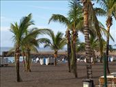 Teneriffa: by lenora, Views[196]