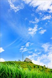 by lenscape, Views[256]