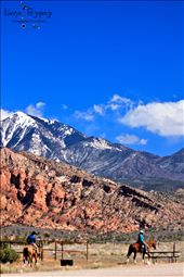 by lensgypsy, Views[285]