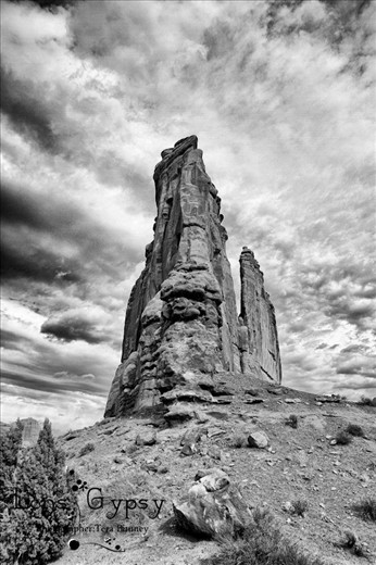  Arches National Park  Moab, Utah