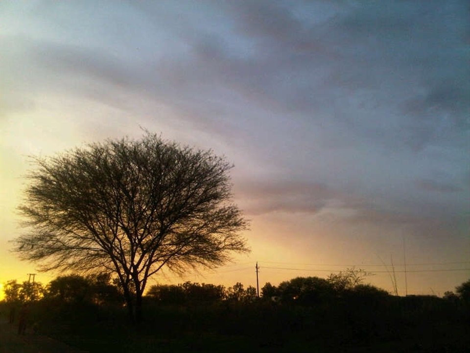 Eye pleasing view on a beautiful evening