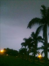 Silhouettes of the trees in the city park: by leo_cliks, Views[325]