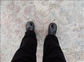 by leoleoleo8, Views[399]