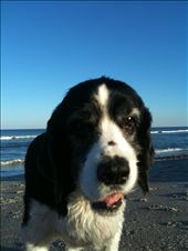 by leoleoleo8, Views[172]