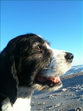 by leoleoleo8, Views[165]