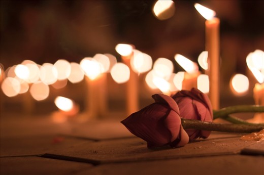 The roots of a lotus are in the mud, the stem grows up through the water and the heavily scented flower lies pristinely above the water, basking in the sunlight. This pattern of growth signifies the progress of the soul from the primeval mud of materialism, through the waters of experience into the bright sunshine of enlightenment. It symbolizes purity, spirituality, prosperity so no wonder there were thousands of them brought to deceased Cambodian beloved King on 15 October 2012.