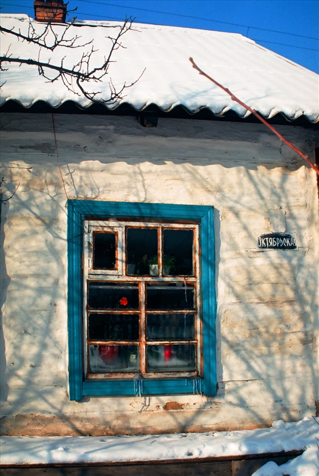 When is cold outside the red flower is still alive