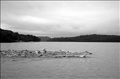 Tupper Lake, New York - Tinman Triathlon. Many People have never seen the athlete's side of a 6 hour physical competition. 'The Rush Hour' shows the group of 18-39 year old wave attempting this endeavour. : by lesleyhampton, Views[304]