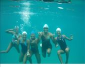Swim team underwater: by lesleyvick, Views[1350]