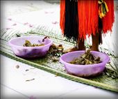 Feet washing: by lesleyvick, Views[244]