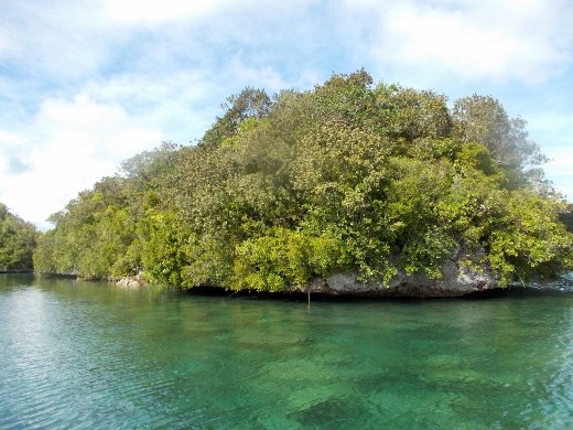 Rock Island in Nikko Bay