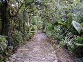 Stone path: by lesleyvick, Views[328]