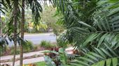 by leslieb, Views[758]