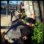 a bevy of black umbrellas, West Hollywood: by lhartjen, Views[245]