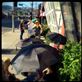 a bevy of black umbrellas, West Hollywood: by lhartjen, Views[237]