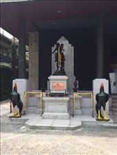 by lhartleyiii, Views[204]