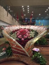 by lhartleyiii, Views[169]