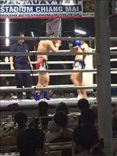 by lhartleyiii, Views[150]