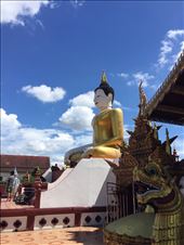 by lhartleyiii, Views[216]