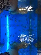 by lhartleyiii, Views[171]