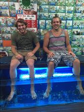 by lhartleyiii, Views[172]