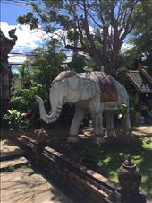 by lhartleyiii, Views[180]