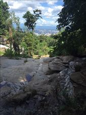 by lhartleyiii, Views[182]