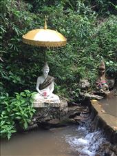 by lhartleyiii, Views[163]