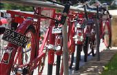 Bikes after Beer. People can hire these bikes after a few beers at Little Creatures Brewery.: by liam_tomlinson19, Views[220]