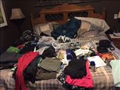 where to Start?: by liananepal, Views[586]