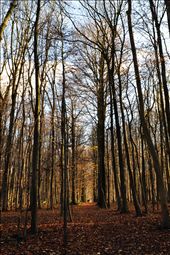 by libbylullaby, Views[206]