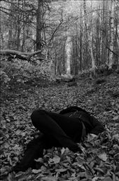 by libbylullaby, Views[283]