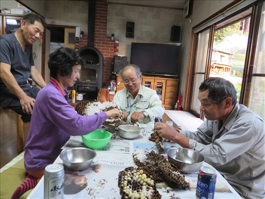 Extracting hornets with fellow hunters, discussing the day's events