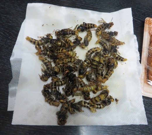 Freshly fried hornets, ready to eat