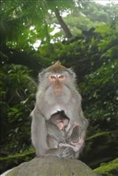 by libertywickman, Views[211]