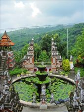 by libertywickman, Views[198]