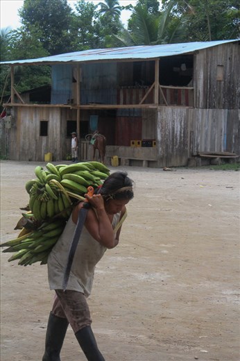 A woman works hard in her indigenous village to bring food to the table. 