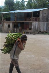 A woman works hard in her indigenous village to bring food to the table. : by lidsvms94, Views[430]