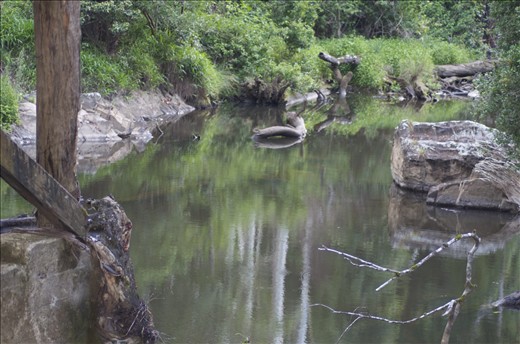 As an Immigrant, I think I'm so fortunate to stay in such a beautiful country 