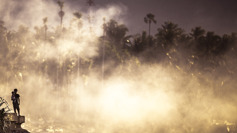 Lifecycle continues. This place is a merge of human and nature. 